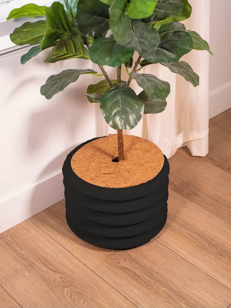 Envelor Coco Coir Tree Rings