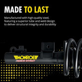 Ford Focus Strut Assembly