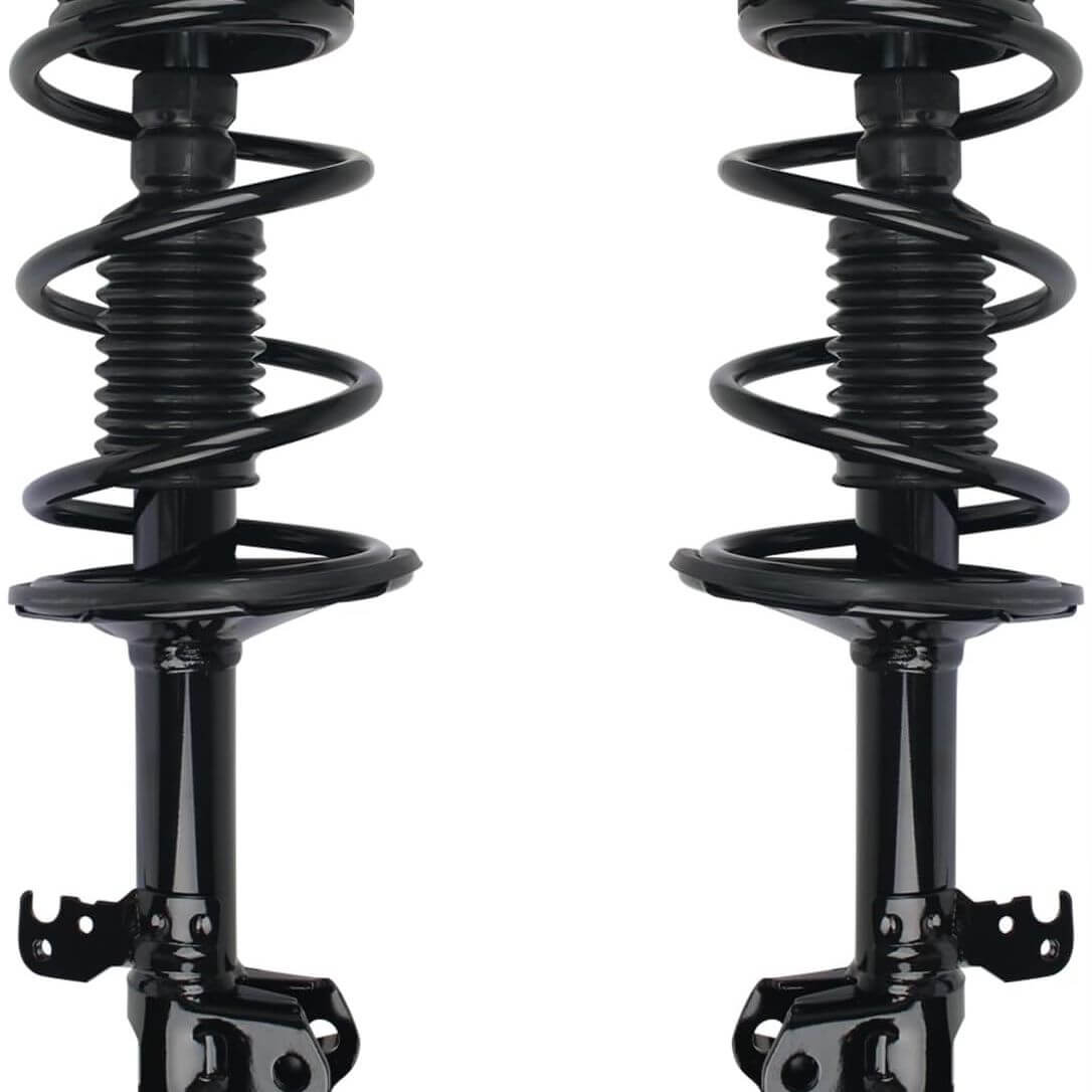 BMW Strut Coil Spring Assembly