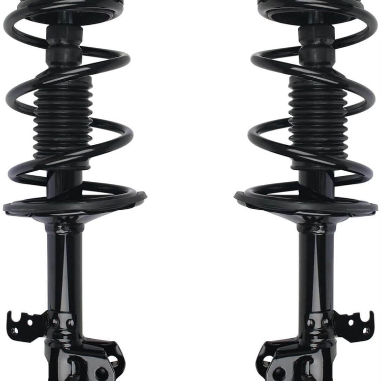 BMW Strut Coil Spring Assembly