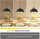 Vintage Farmhouse Black Gold Pendant Light