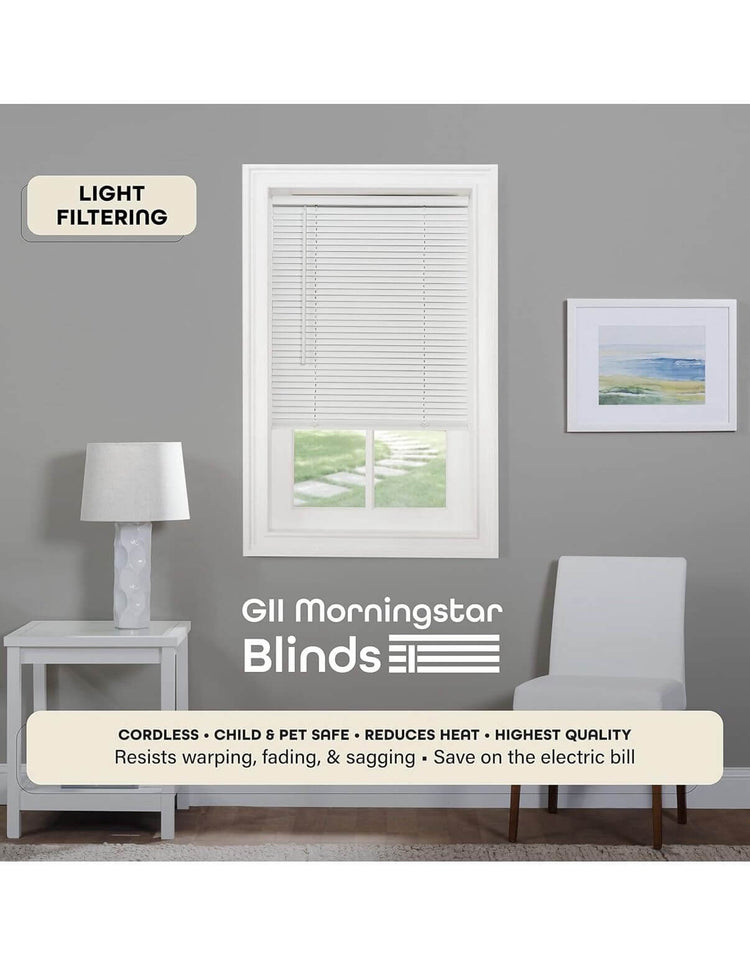 Cordless Light Filtering Mini Blind
