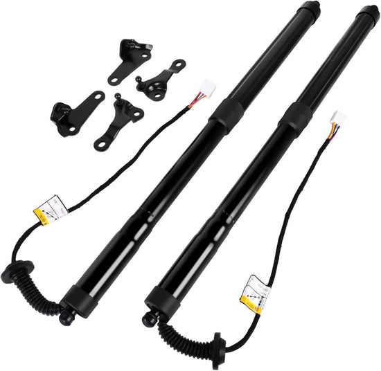 Lexus Lift Support Strut
