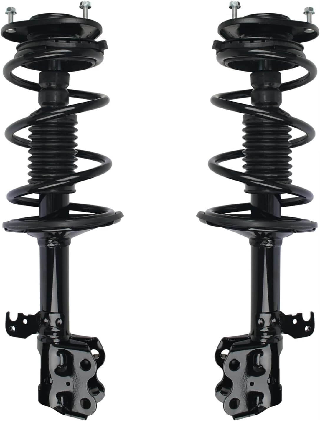 BMW Strut Coil Spring Assembly
