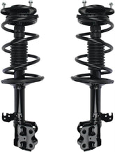 BMW Strut Coil Spring Assembly