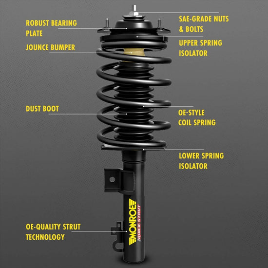 Ford Focus Strut Assembly