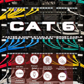 Cat6 1000ft Plenum Ethernet Cable