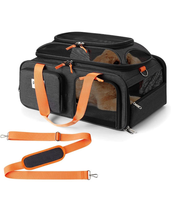 TSA Pet Carrier 19x13x9