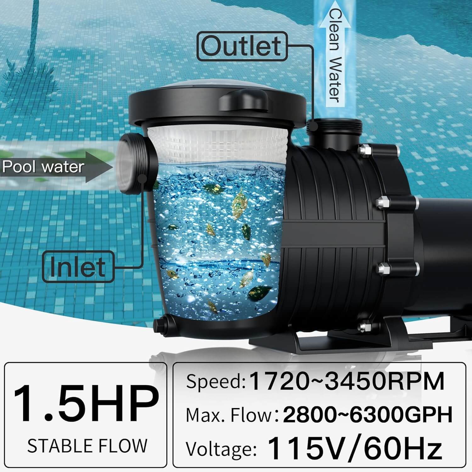 LANCHEZ 1.5HP Dual Speed Above Ground Pool Pump