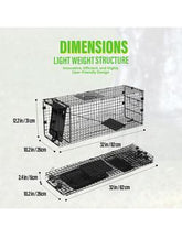 Humane Folding Animal Trap