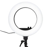 DuoTone LED Ring Light