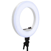 DuoTone LED Ring Light