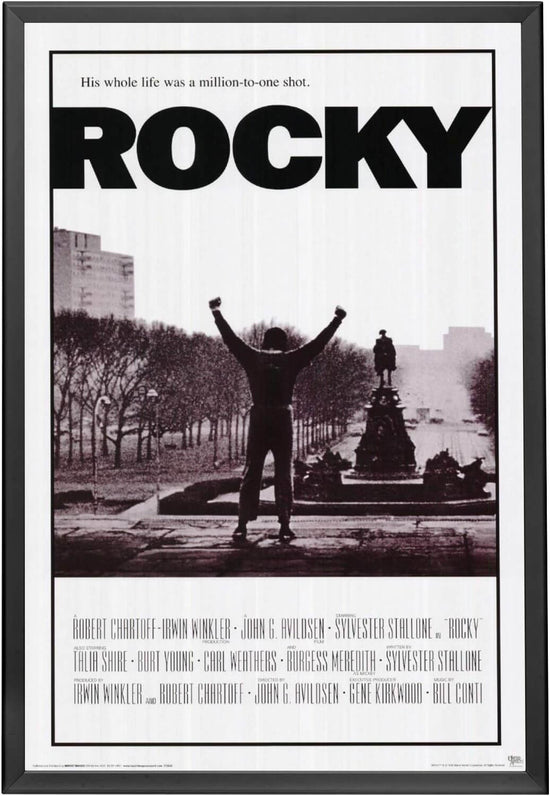 27x41 Movie Poster Frame