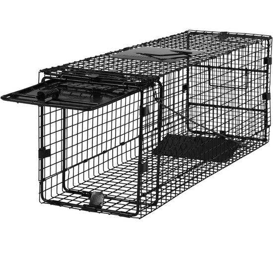 Humane Folding Animal Trap