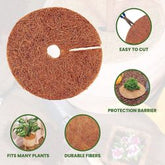 Envelor Coco Coir Tree Rings