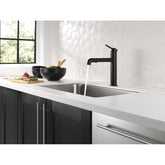 Delta Trinsic Pull-Out Kitchen Faucet with Lifetime Warranty, Modern Design