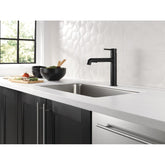 Delta Trinsic Pull-Out Kitchen Faucet with Lifetime Warranty, Modern Design