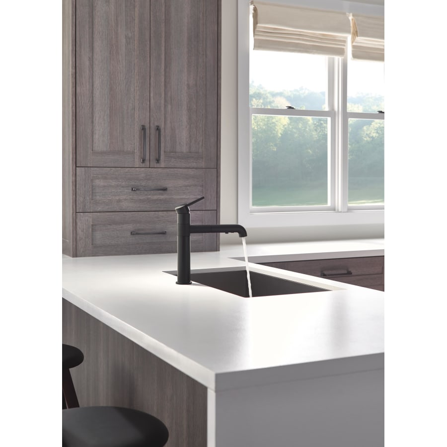 Delta Trinsic Pull-Out Kitchen Faucet with Lifetime Warranty, Modern Design