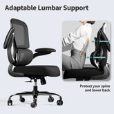 Ergonomic Office Chair