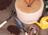Envelor Coco Coir Tree Rings