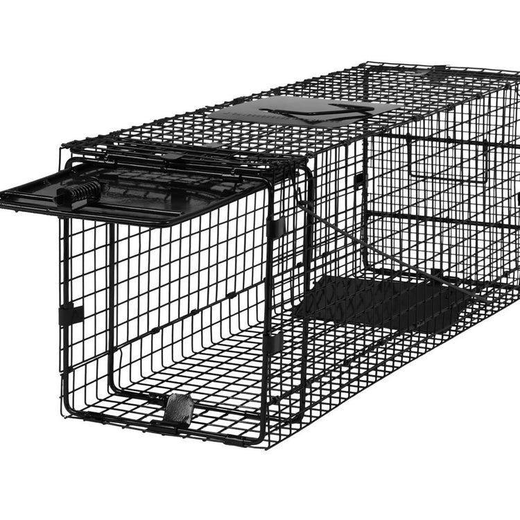 Humane Folding Animal Trap