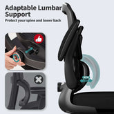 Ergonomic Office Chair