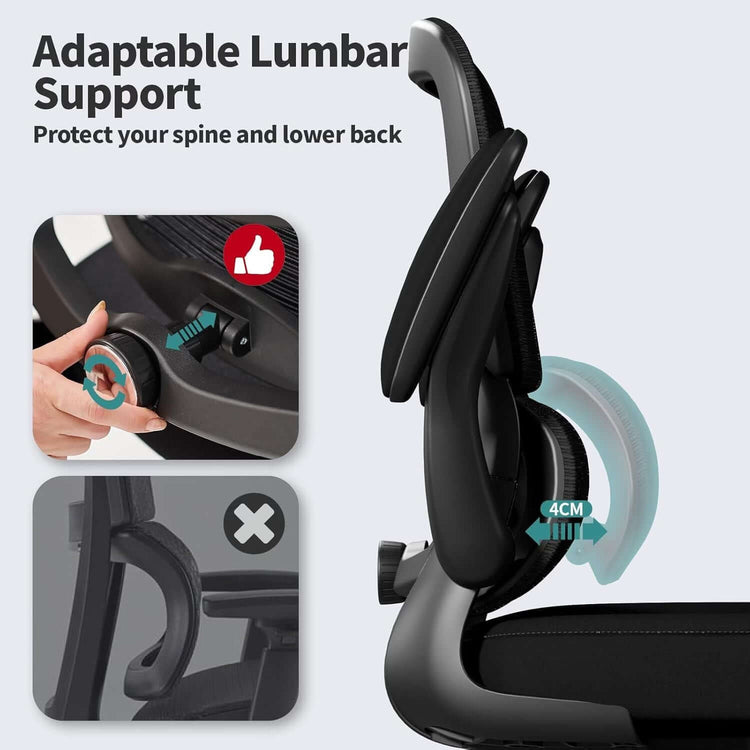 Ergonomic Office Chair