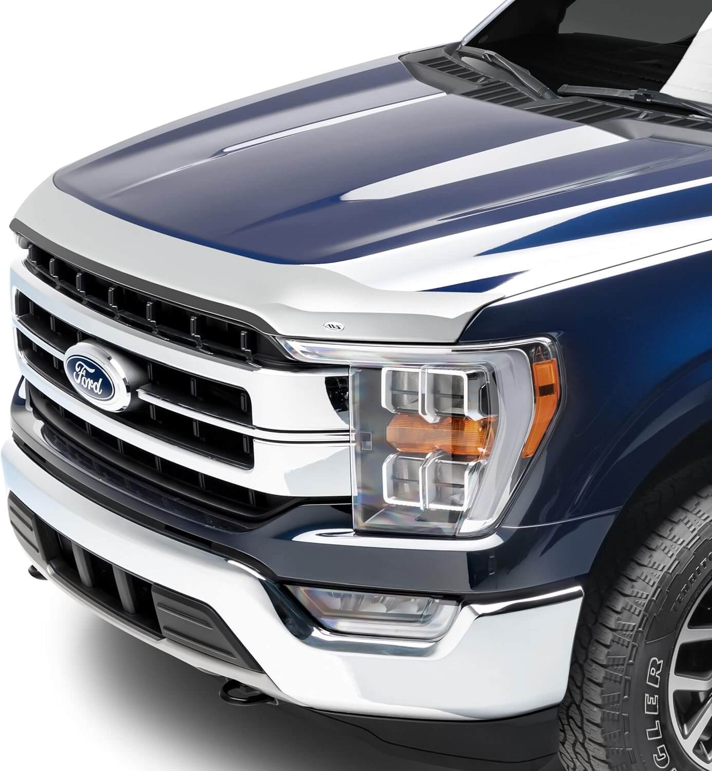 Ford F-150 Hood Protector