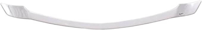 Ford F-150 Hood Protector