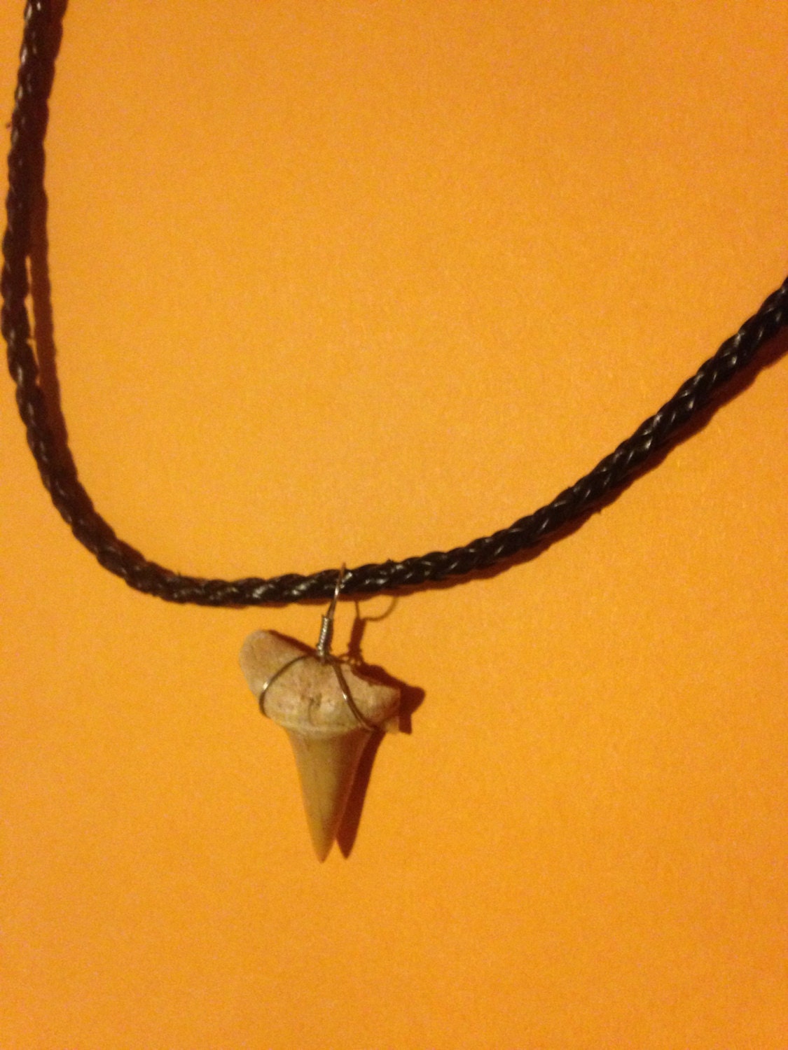 Real Genuine 1 1/4" White Tip Shark Tooth Pendant on an Adjustable 17.5" Braided Leather Choker Necklace