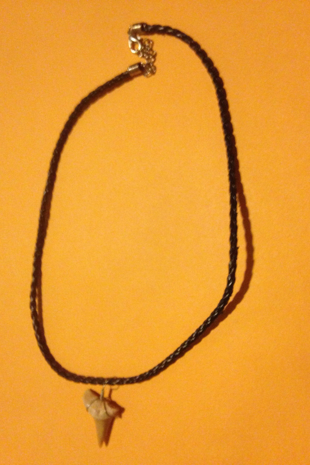 Real Genuine 1 1/4" White Tip Shark Tooth Pendant on an Adjustable 17.5" Braided Leather Choker Necklace