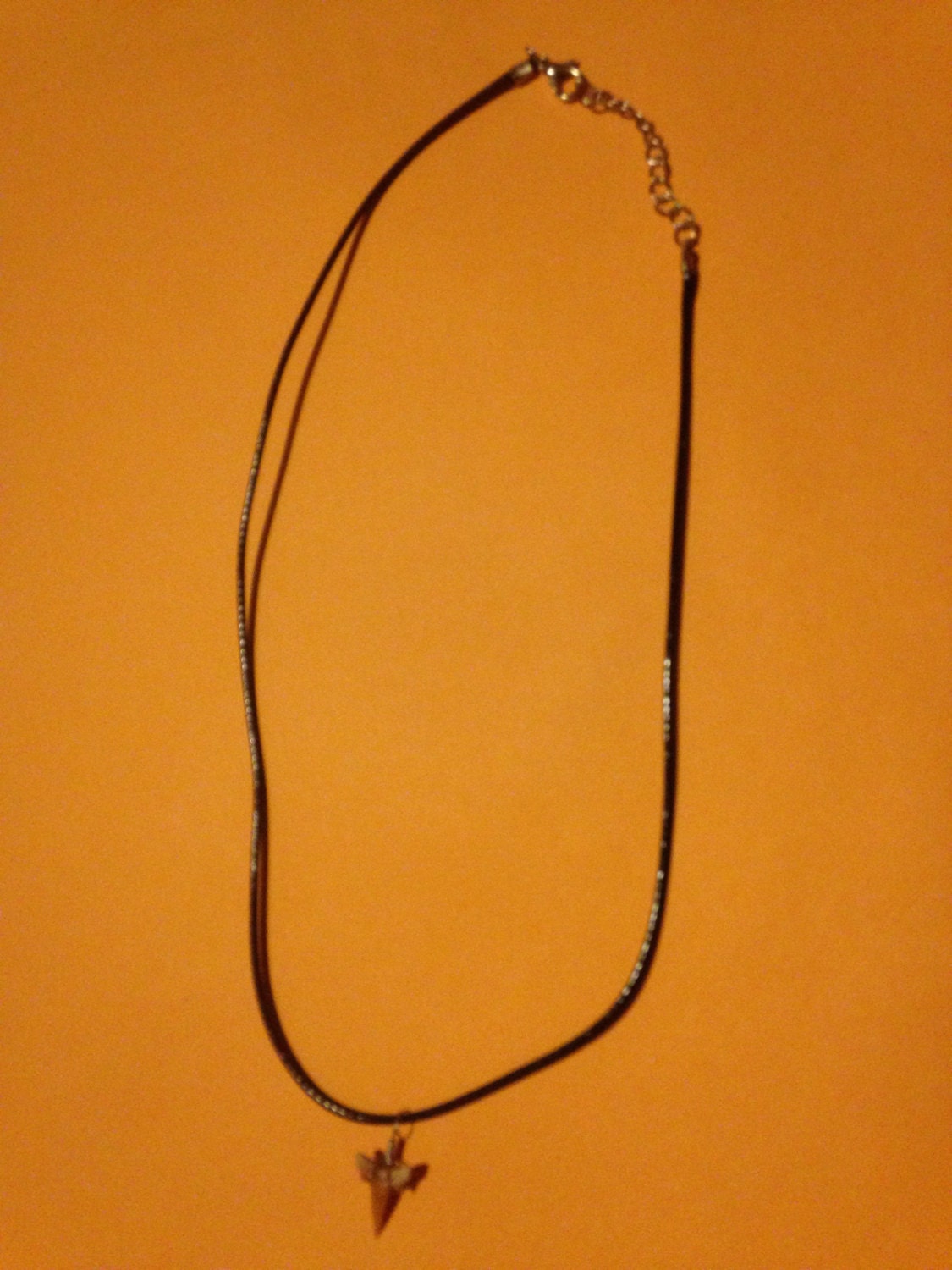 Real Genuine 3/4" Shark Tooth Pendant on an Adjustable 17.5" Leather Choker Necklace