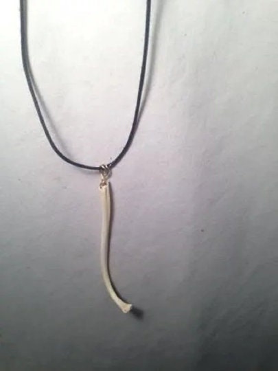 Handmade 2 1/2"-3 1/2" Raccoon Penis Bone Baculum Oosik Jewelry Necklace on a 16" Leather Choker Inactive