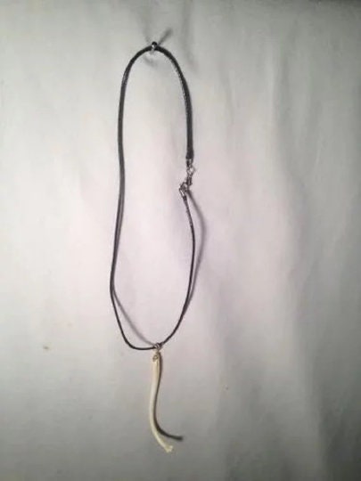 Handmade 2 1/2"-3 1/2" Raccoon Penis Bone Baculum Oosik Jewelry Necklace on a 16" Leather Choker Inactive
