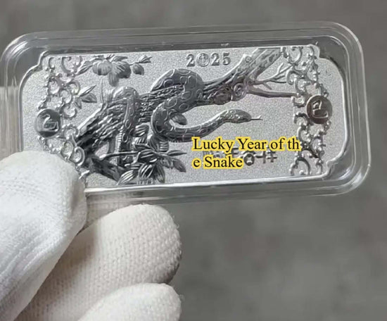 2025 Year of The Snake Commemorative Coin Good Luck Charm with Plastic Sleeve Holder