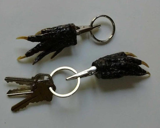 Louisiana Alligator Foot Claw with Alligator Clip and Key Ring