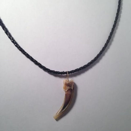 Badger Claw 1 3/4" with a Braided Necklace 17 1/2"