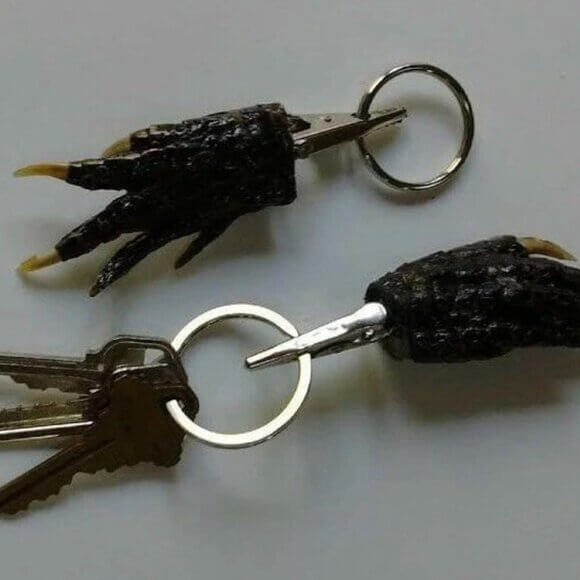 Alligator Foot Claw Necklace