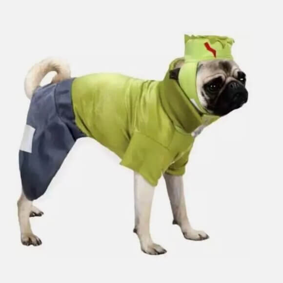 Frankenhound Frankenstein Dog Halloween